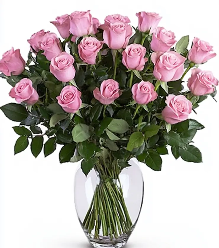 Two Dozen Pink Roses