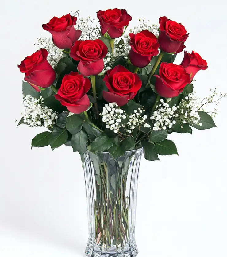 One Dozen Red Roses
