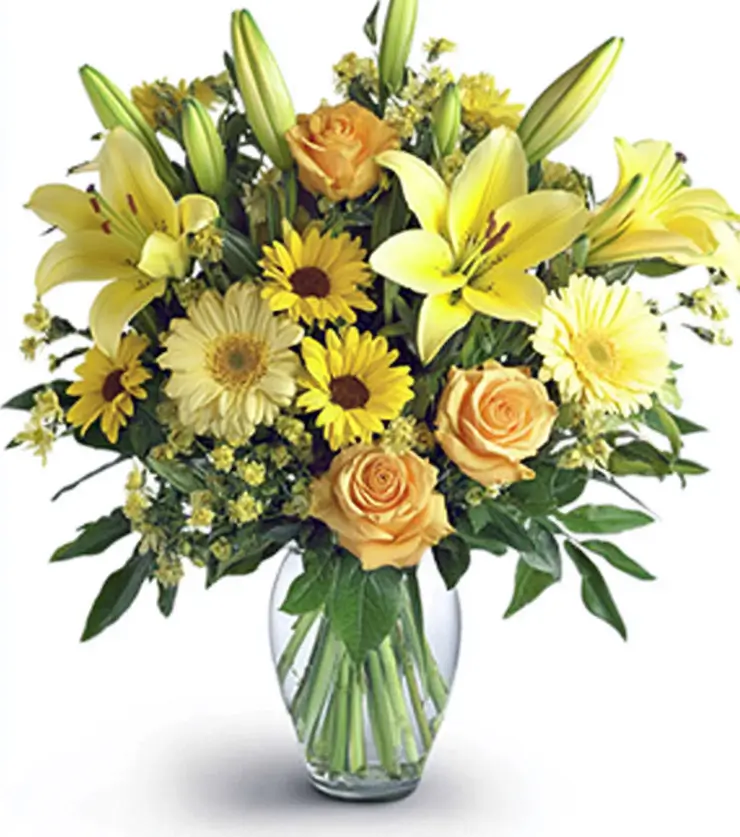 Colorful Expressions