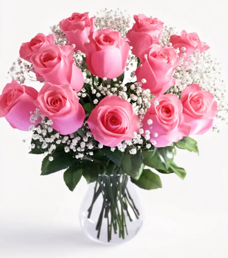 12 Pink Roses