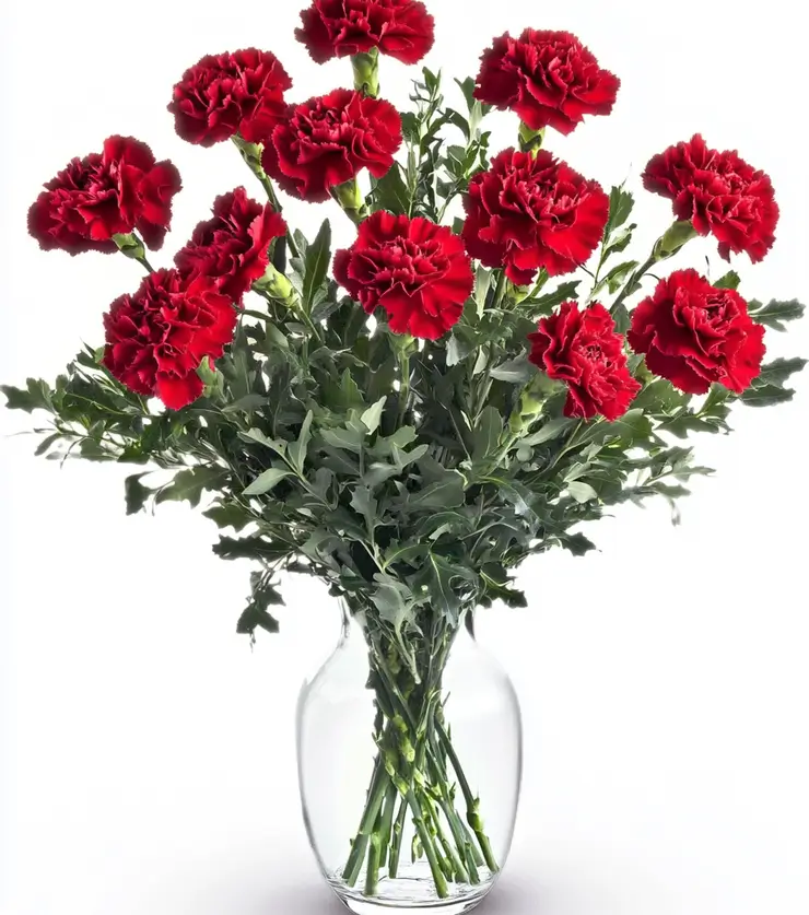 Perfectly Pink Carnations