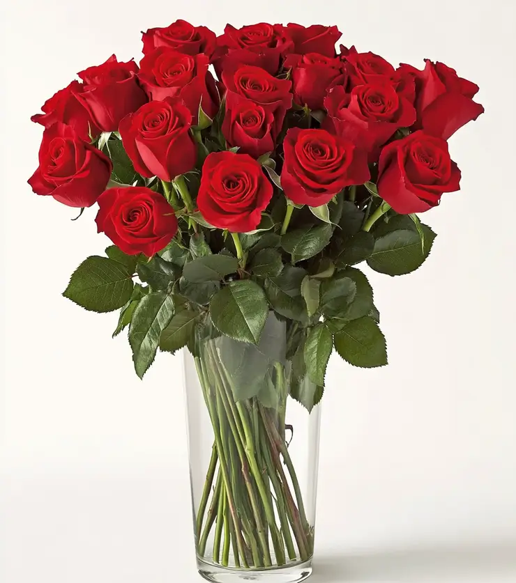 24 roses for every occasion